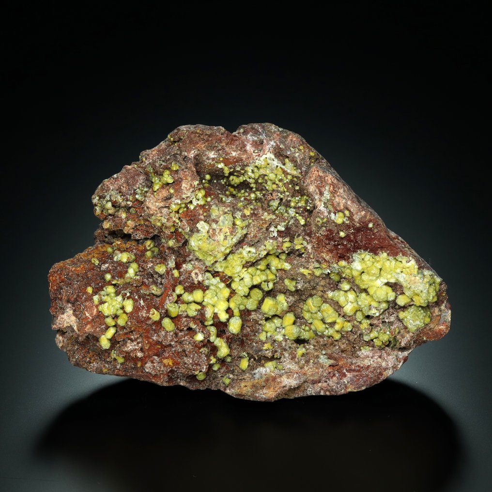 顶级品质！MIMETITE 在来自刚果民主共和国的 MATRIX 上。 标本 - 高度: 8 cm - 宽度: 12 cm- 427 g #1.0