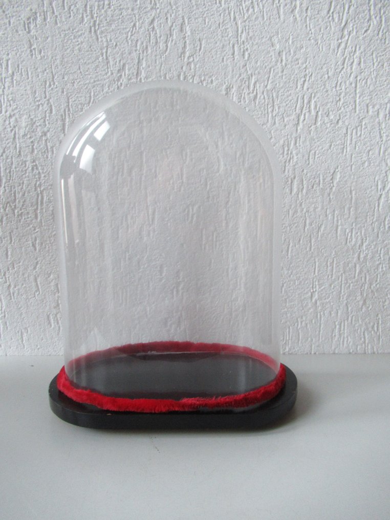 Üvegbúra - üveg és fa - 1900-1910 #1.0