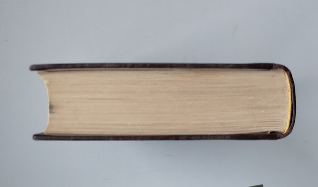 J.R.R. Tolkien / Max Schuchart - In de ban van de ring - 1956-1957 #4.3