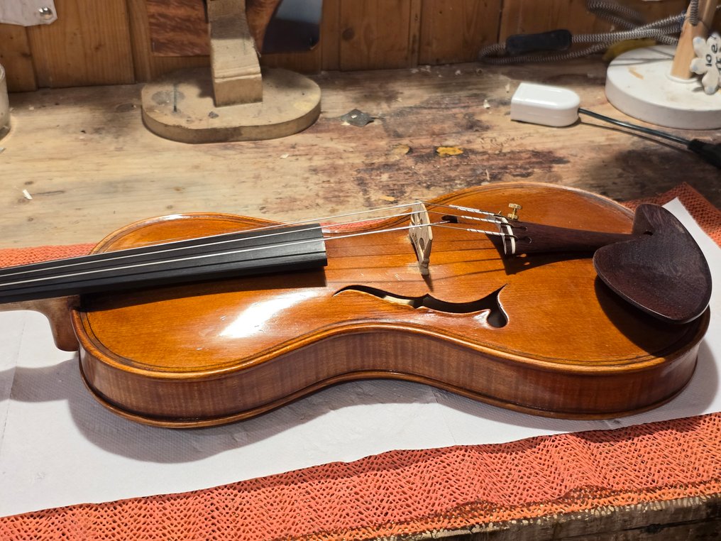 Gabrieli Rubino (Direct from the luthier) - Gusetto - - Violon - Italie - 2019 #3.2