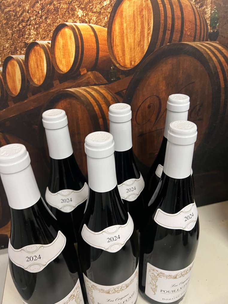 2024 Domaine Andre & Edmond Figeat "Les Origines" - Pouilly Fumé - 6 Flaskor (0,75L) #1.0