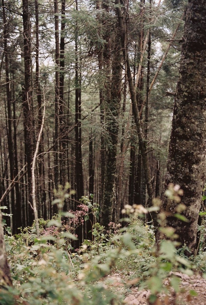 Wladyslav Wilhelm - 11223 #1.0