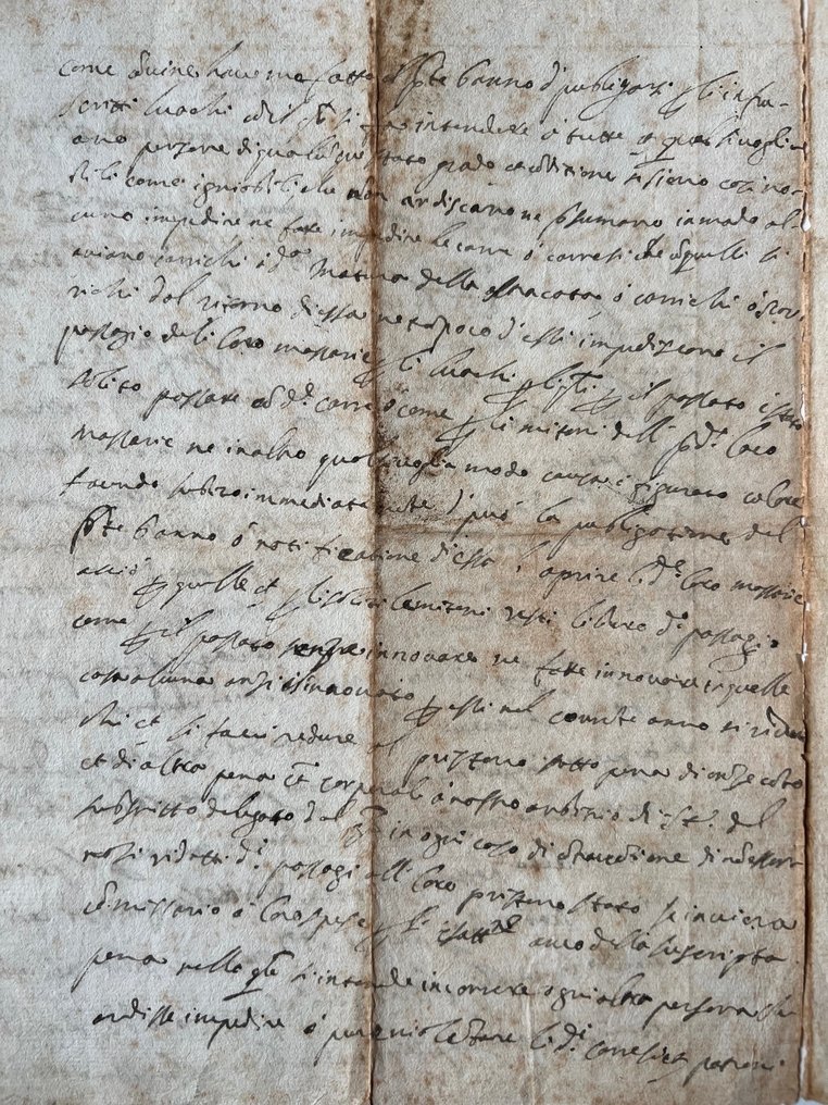 sconosciuto - Manoscritto Regia Camera Sommaria Napoli Filippus dei gratia rex ... - 1665 #4.3