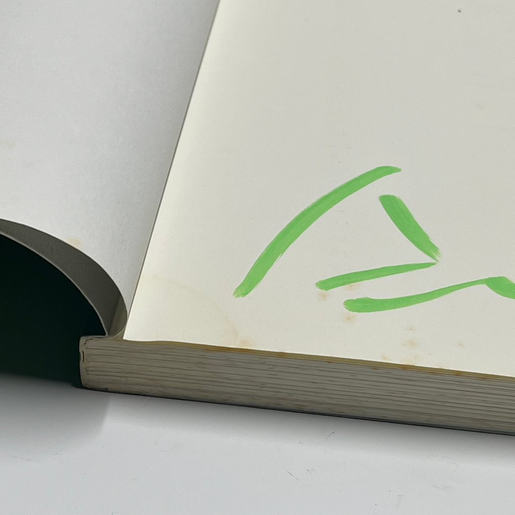 Tadao Ando - Regeneration - Surroundings and Architecture - 2003 #4.3