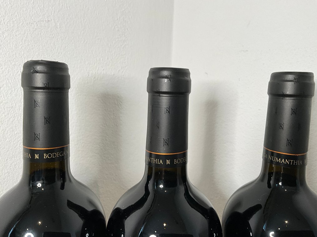 2020 Bodega Numanthia - Toro - 3 Bottles (0.75L) #4.3