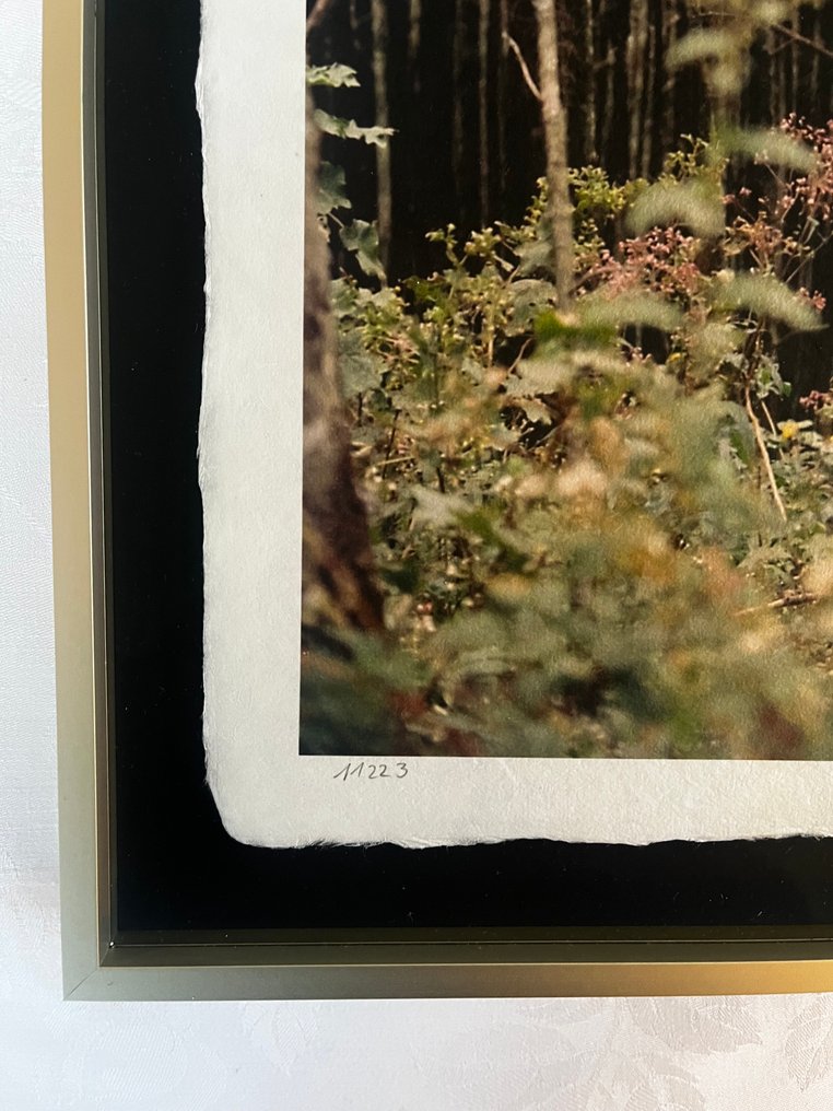 Wladyslav Wilhelm - 11223 #3.2