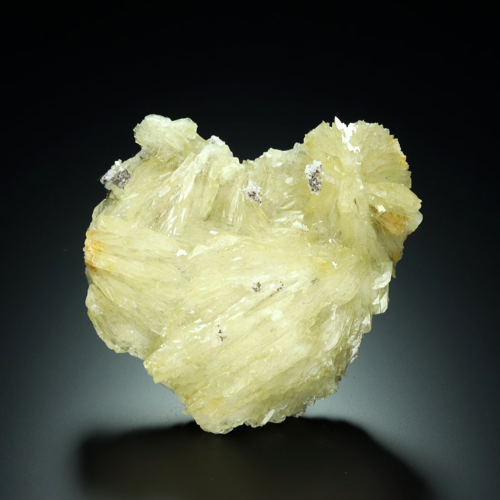 来自摩洛哥布纳哈斯矿的极佳BARYTE配MARCASITE和QUARTZ 标本 - 高度: 9.5 cm - 宽度: 9 cm- 397 g #3.2