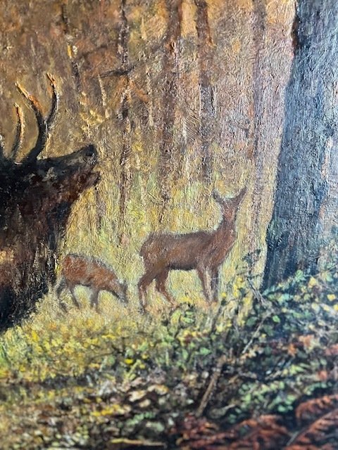 Cyriel Vanderhaeghe (XX) - Edelhert #3.2