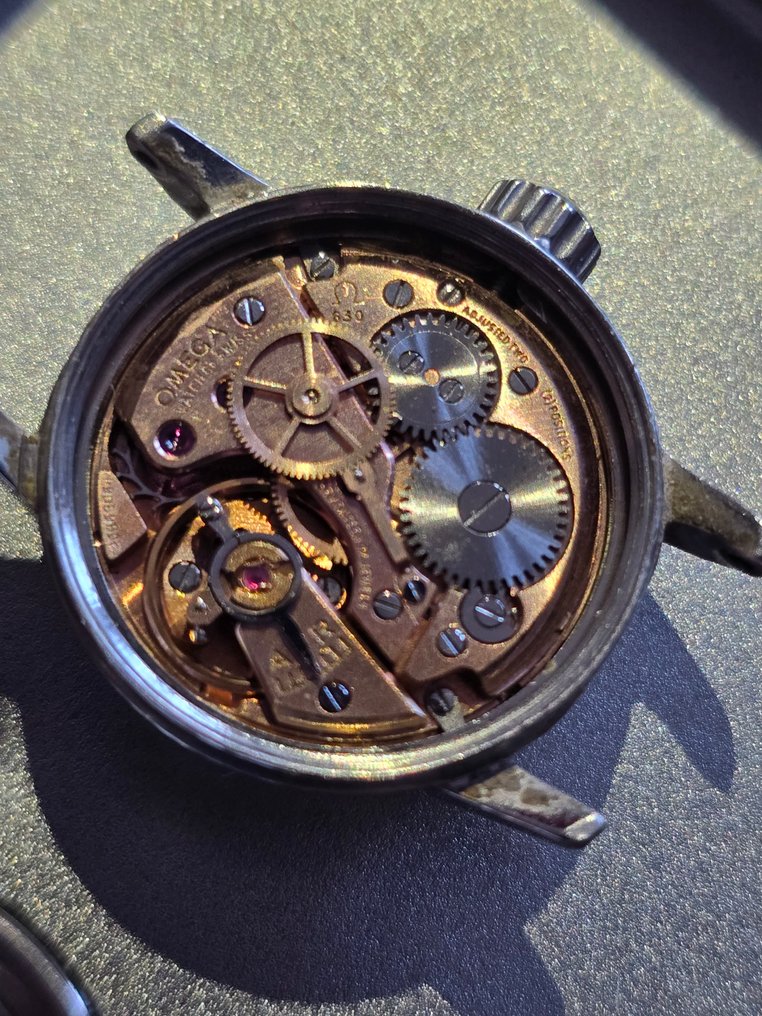 Omega - Seamaster - Sem preço de reserva - Senhora - 1950-1959  #3.2