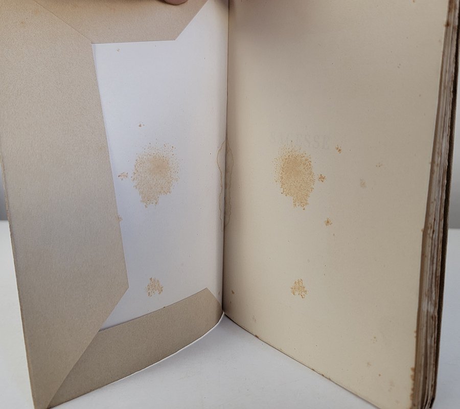 Paul Verlaine - Sagesse - 1893 #2.1