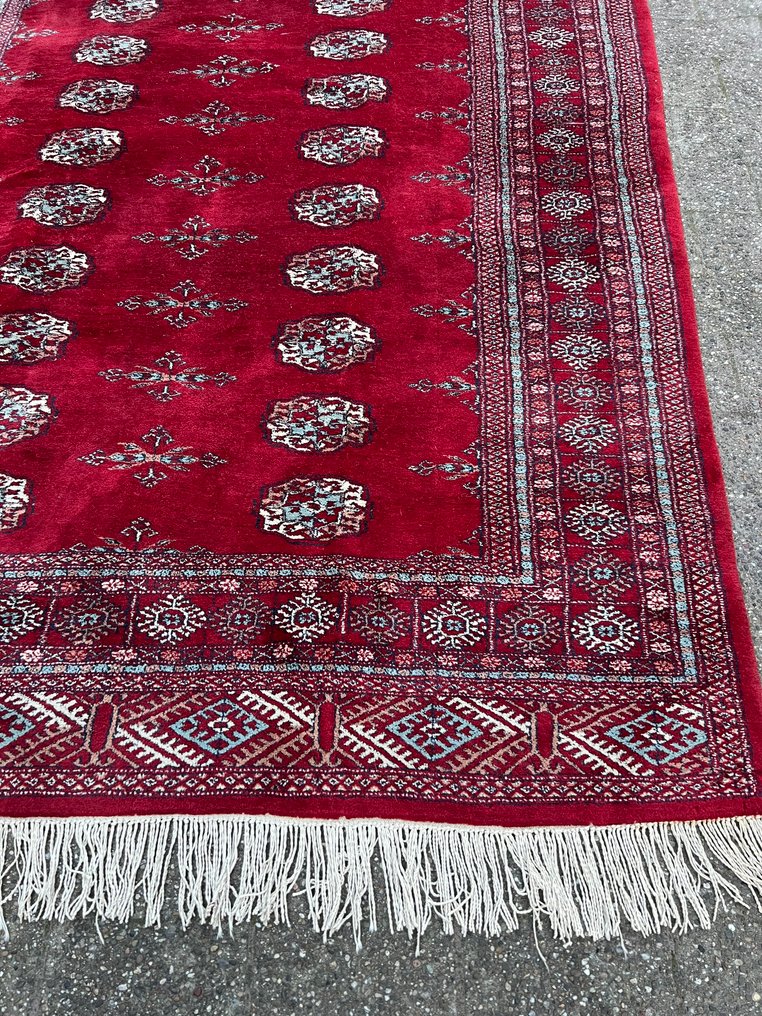 Buchara - Tæppe - 253 cm - 175 cm - P. Buchara #1.0