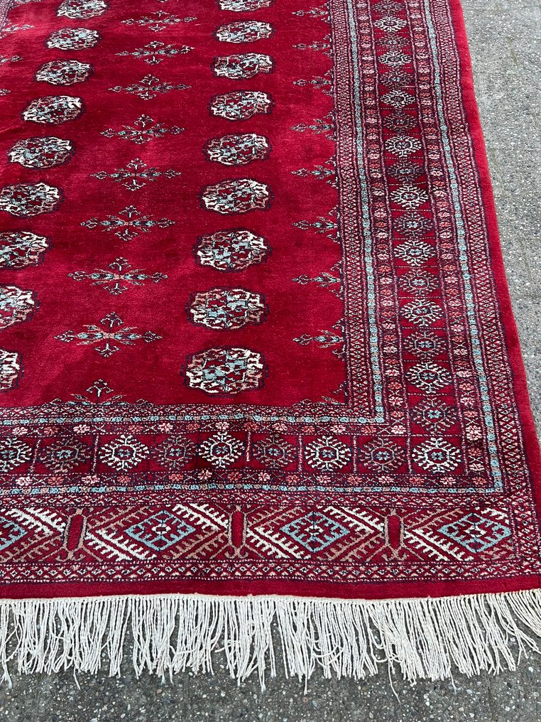 Buchara - Tæppe - 253 cm - 175 cm - P. Buchara #2.1