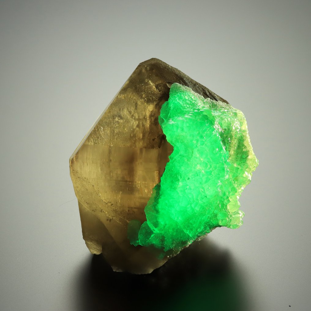 精彩的QUARTZ品种：烟水晶配荧光海蓝宝，来自纳米比亚Erongo。 标本 - 高度: 6.6 cm - 宽度: 5.6 cm- 144 g #1.0