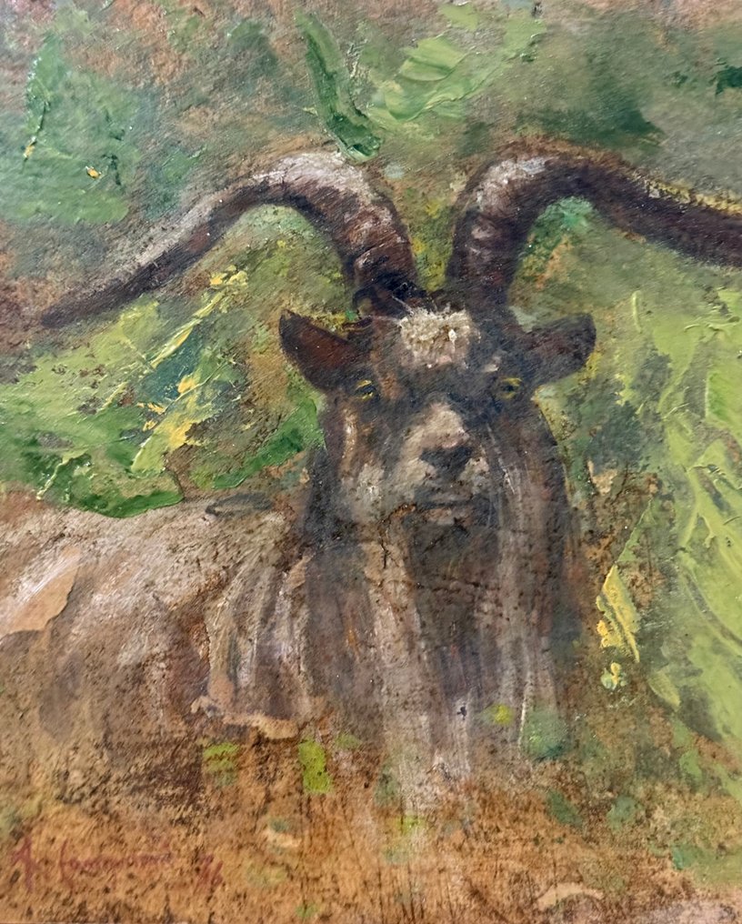 Alceste Campriani (1848-1933), Attr. - Capra #3.2