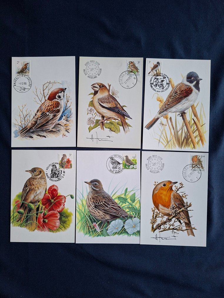 Bélgica 1985/2003 - Vogels Andre Buzin seleção MAXIMUMKAARTEN #2.1