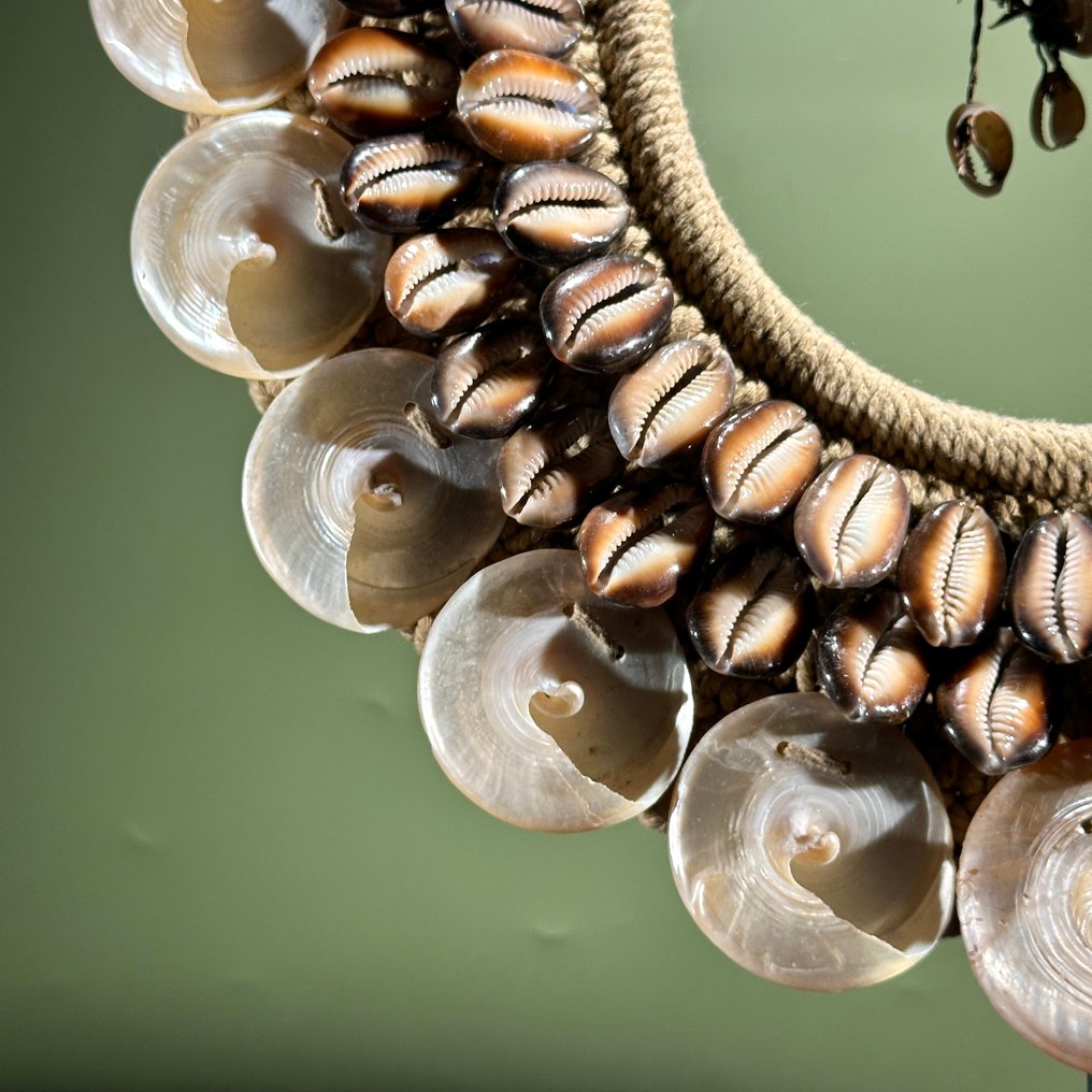 Zierornament - NO RESERVE PRICE - SN20 - Decorative shell necklace on a custom stand - Iatmul style - Papua Neuguinea #4.3
