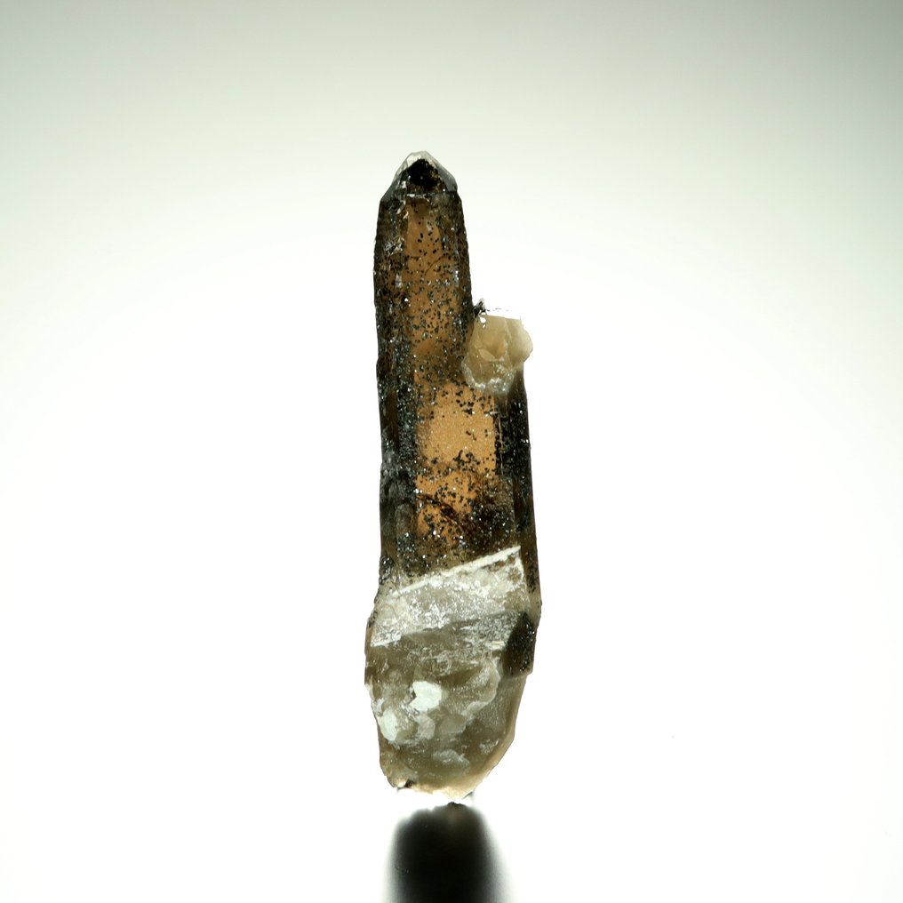 卓越的双端宝石，来自波兰‘Alpine Pocket’的烟熏石英。 水晶 - 高度: 10 cm - 闊度: 3 cm- 56 g #4.3