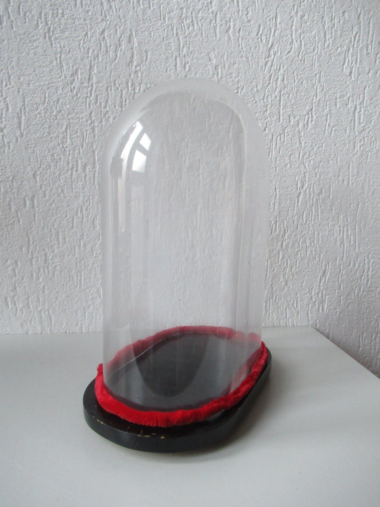 Üvegbúra - üveg és fa - 1900-1910 #3.2