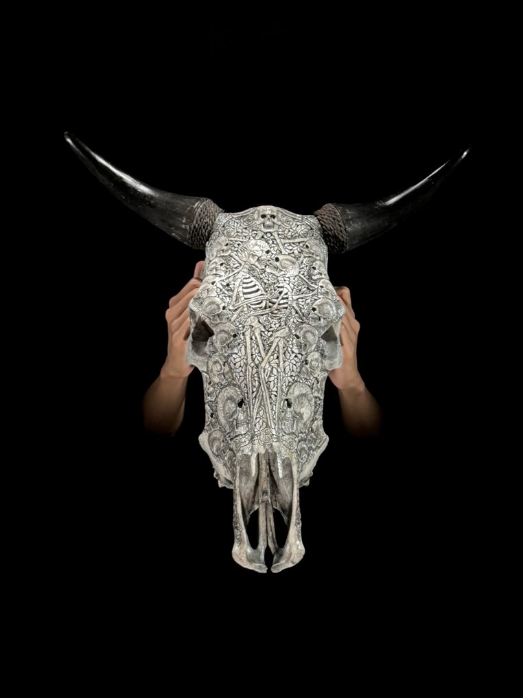 无底价 - 正品大型灰色手工雕刻牛头骨 - 配有人类头骨图案 雕刻頭骨 - Bos Taurus - 56 cm - 54 cm - 18 cm- 非《瀕臨絕種野生動植物國際貿易公約》物種 -  (1) #4.3