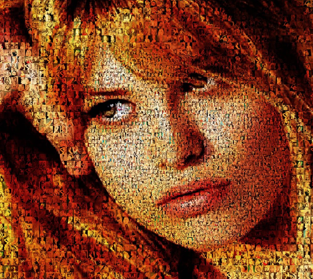 David Law (1967) - Crypto Brigitte Bardot XIII - Format XL 60x60 #1.0