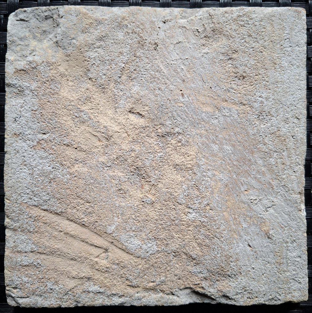  Πλακάκι - Αρχαία πλακάκι με ρόδι. - 1600-1650  #4.3