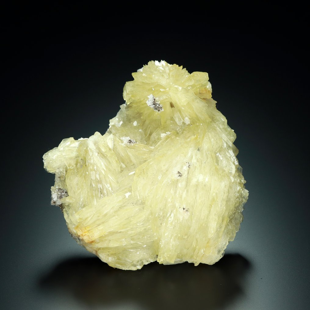 来自摩洛哥布纳哈斯矿的极佳BARYTE配MARCASITE和QUARTZ 标本 - 高度: 9.5 cm - 宽度: 9 cm- 397 g #2.1