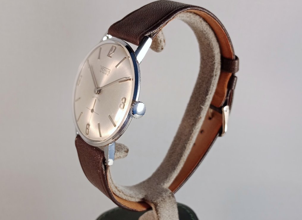 Venus - Classic Plate - Ei pohjahintaa - Miehet - 1950-1959  #3.2