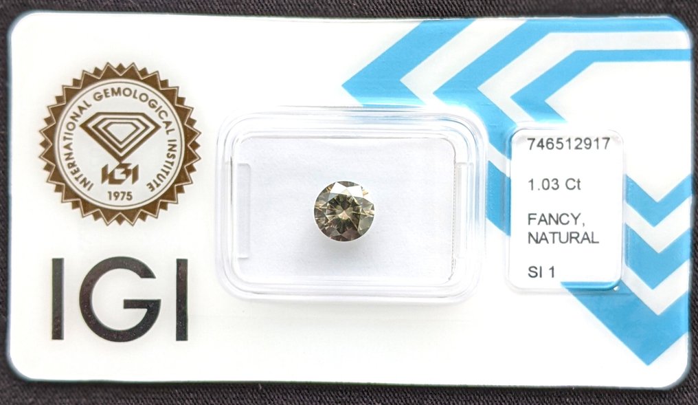 Ingen mindstepris - 1 pcs Diamant  (Naturfarvet)  - 1.03 ct - Rund - Fancy dark Grønlig Grå - SI1 - International Gemological Institute (IGI) #1.0