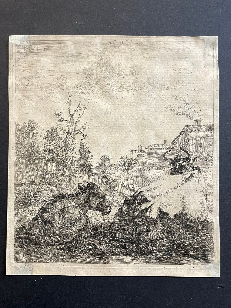 Karel Dujardin (1622-1678) - "Il Vitello e la Mucca" #1.0