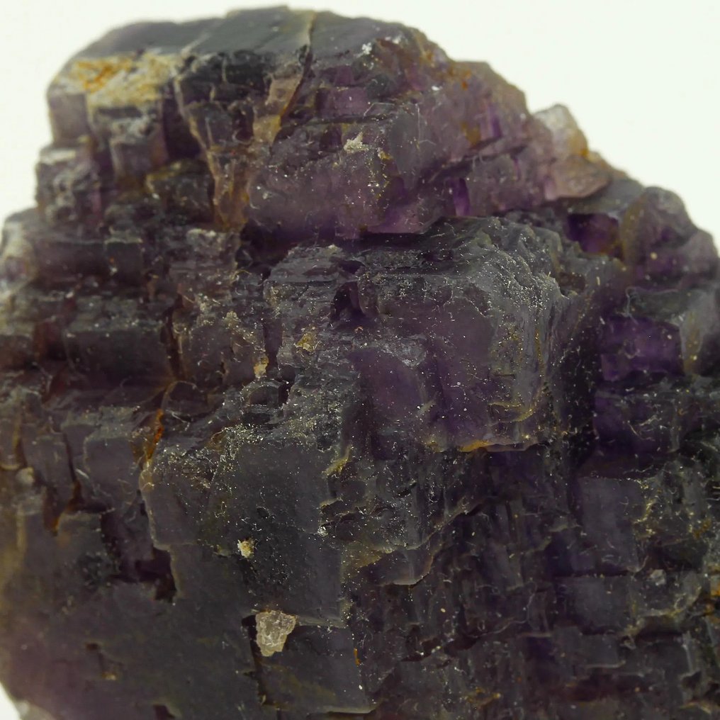 骨架！美丽的紫蓝色萤石，带有幻影 水晶群 - 高度: 5.5 cm - 闊度: 4 cm- 84 g #1.0