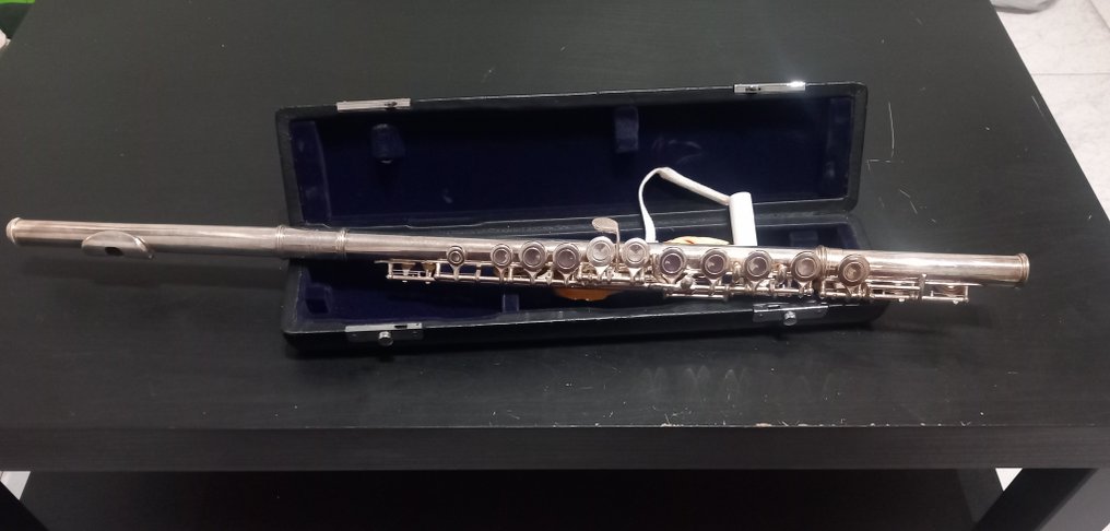 Main -  - 长笛  (没有保留价) #2.1