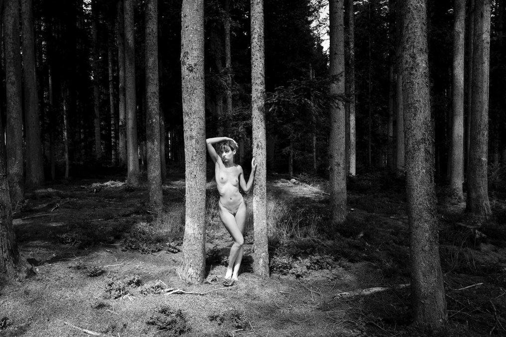 Jean-Guy Caumeil (1945–2018) - Sharlyne au bois 5 #3.2