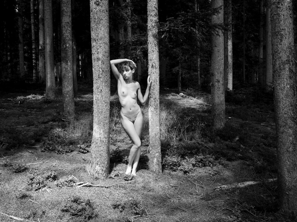 Jean-Guy Caumeil (1945–2018) - Sharlyne au bois 5 #1.0