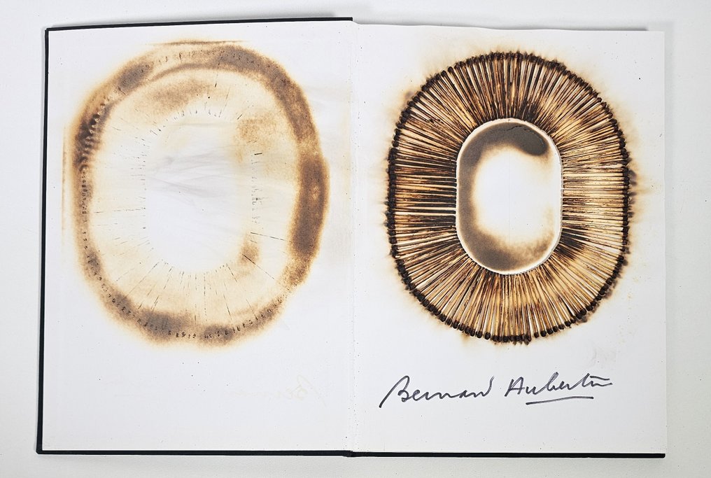 Bernard Aubertin (1934-2015) - Livre Brûlé Rosenberg #1.0