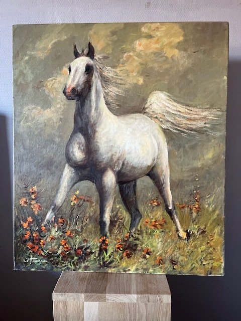 Cyriel Vanderhaeghe (XX) - Wit paard #1.0