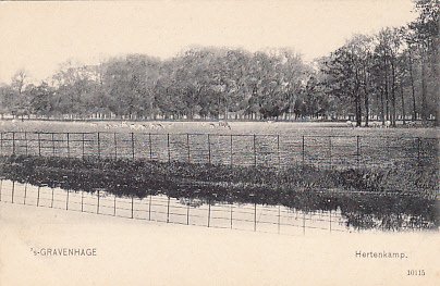 Ολλανδία - Πόλη και τοπία, Ευρώπη, Den Haag - Den Haag - Καρτ-ποστάλ (100) - 1900-1950 #1.0