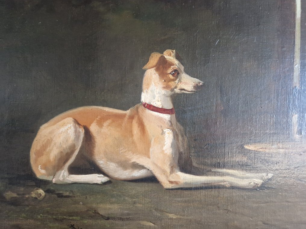 B. te Gempt (1826-1879) - Hazewindhond in rust #1.0