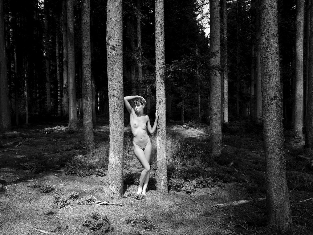Jean-Guy Caumeil (1945–2018) - Sharlyne au bois 5 #1.0