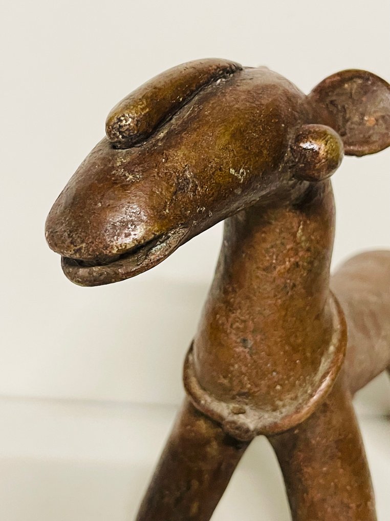 Duru - Cheval duru - duru - 尼日利亞  (沒有保留價) #4.3