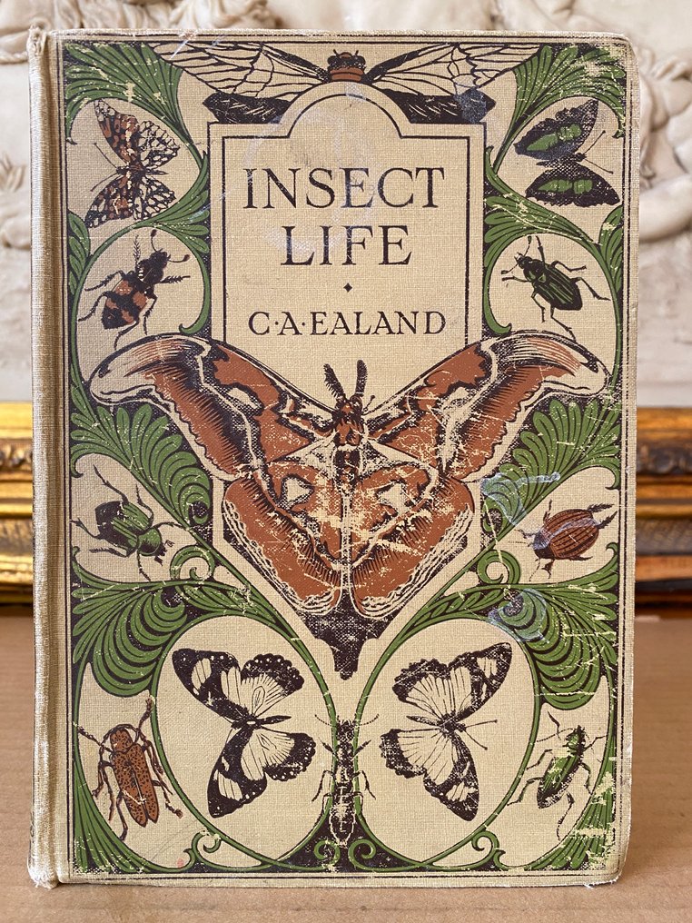 Charles Aubrey Ealand - Insect Life. ( with 70 plates) - 1921 #2.1