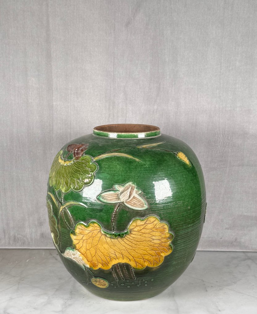 花瓶 - 瓷器 - 中國 - 清朝（滿族中國）（1692-1911） - 精美的姜瓷瓶 #1.0