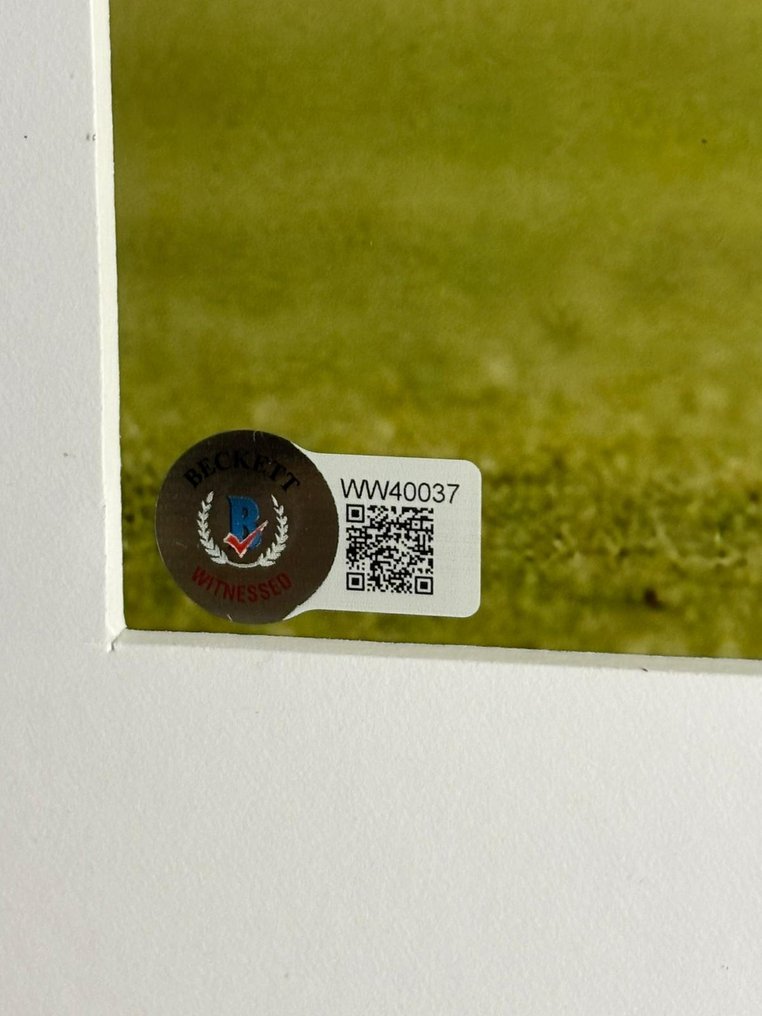 Brazil - Football World Championships - Emerson Royal - Premium Frame – Museum Quality - No rp Price ! - Fotografie  #3.2