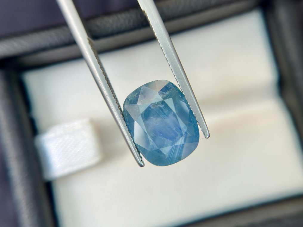 没有保留价 蓝色 蓝宝石  - 8.09 ct - 莲花宝石实验室 - 缅甸蓝 - 非加热 #2.1