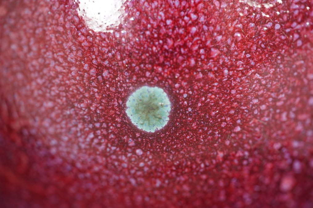 Μπολ - A HIGH MODELLED Jun Bowl - Πορσελάνη - Ένα γυαλισμένο μπολ σε στυλ JUN. #4.3