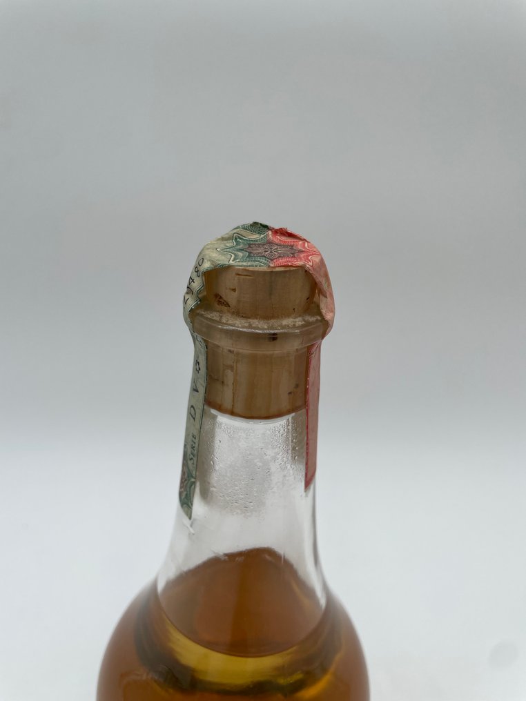 Levi - Flower   - b. 1997  - 70cl #4.3