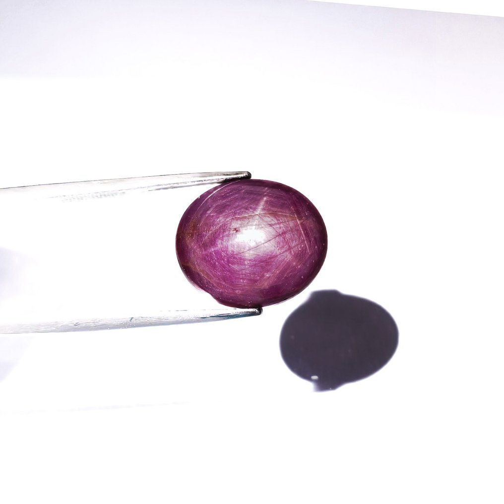 没有保留价 星彩红宝石  - 26.98 ct - 国际宝石研究院（IGI） #1.0