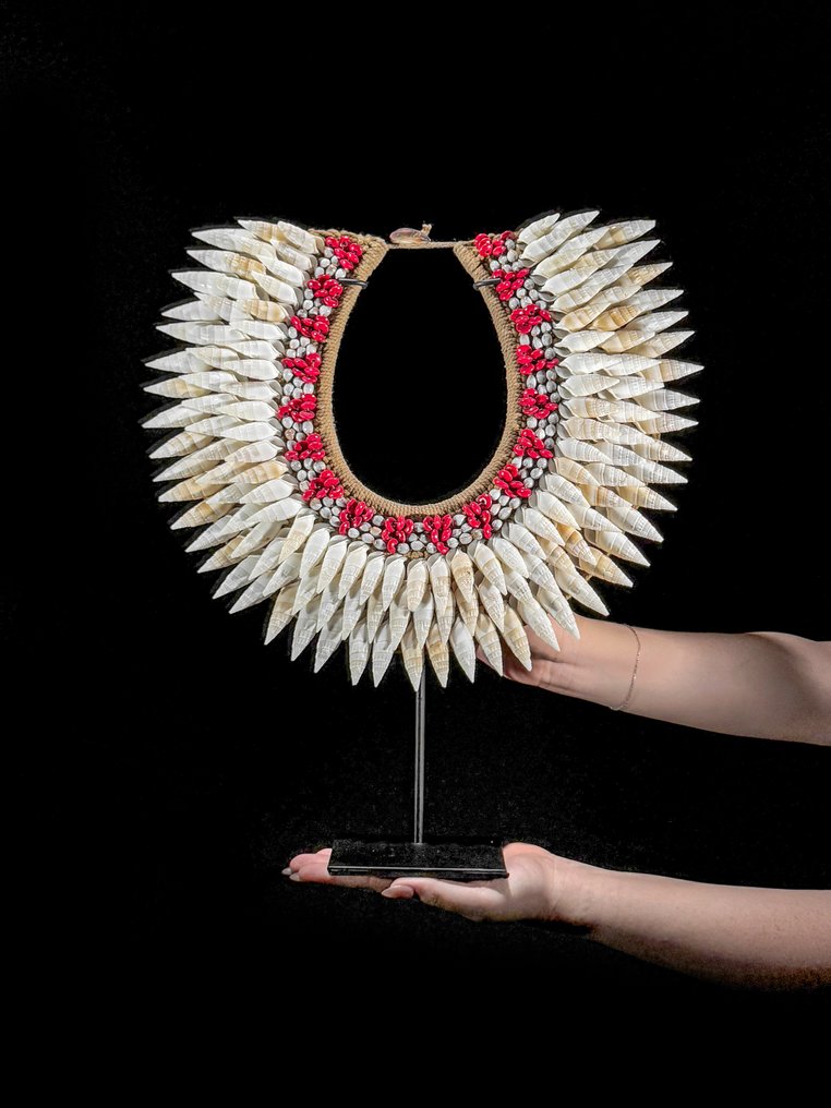 Διακοσμητικό στολίδι - NO RESERVE PRICE - SN16 - Decorative Shell Necklace on a custom stand - Παπούα Νέα Γουινέα #1.0