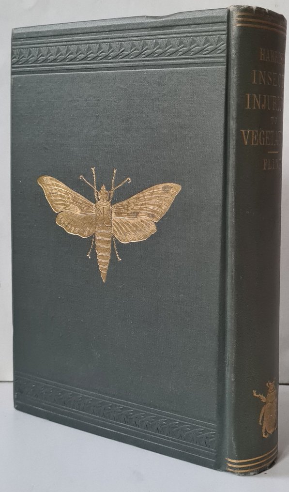Thaddeus William Harris - Treatise on some of the insects injurious to vegetation ...butterflies. motten,, beetles..... - 1890 #1.0