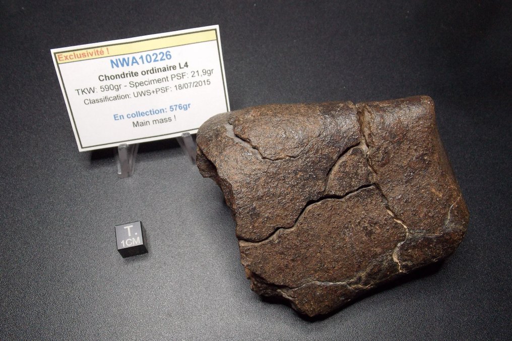 NWA10226 - Meteorite condrite L4 - Massa principale! - Altezza: 100 mm - Larghezza: 85 mm - 576 g - (1) #1.0