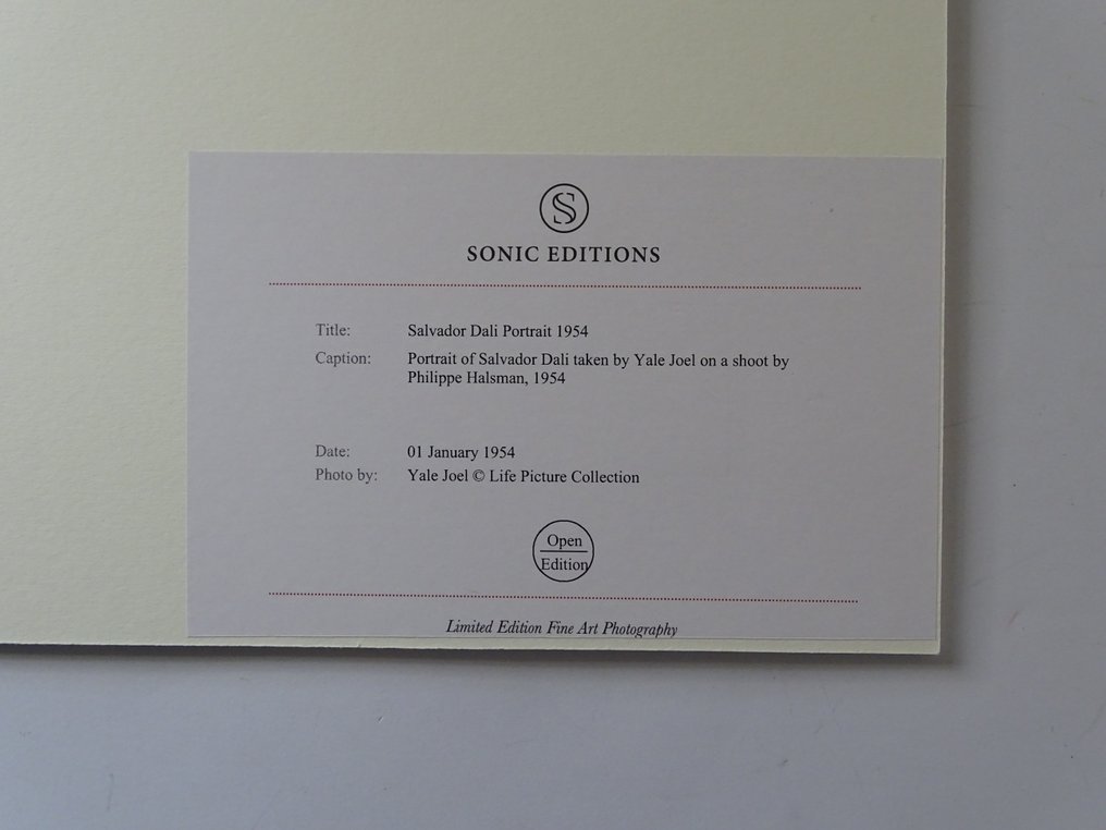 Philippe Halsman - Dali portrait, 1954 #2.1